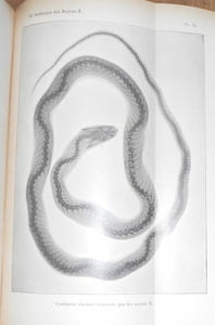 La Technique des Rayons X manuel opératoire de la radiographie et de la fluoroscopie à l'usage des médecins des chirurgiens et des amateurs de photographie