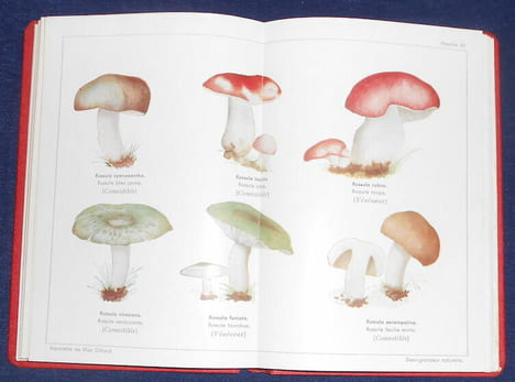 Guide Pratique pour la Recherche de 60 Champignons Comestibles Choisis parmi les meilleurs et les plus faciles à déterminer avec certitude. Charles ...