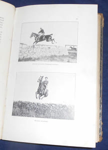 Le Cheval de Selle en France