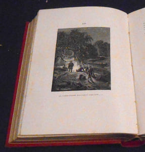 L’Héritier de Robinson