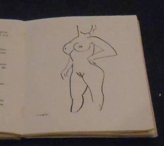 Prestiges de Matisse