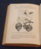 Maladies des Arbres Fruitiers. E. Sirodot