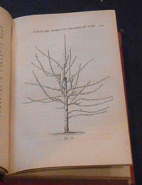 Traité de la Taille des Arbres Fruitiers