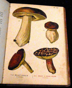 Les Champignons Comestibles & Vénéneux. Notions générales. Classification. Etude des carrières. Méthode pratique pour reconnaître les espèces dangereuses et les distinguer des espèces alimentaires les plus répandus, suivie de conseils pour la culture, la conservation et la consommation des champignons