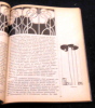 Art Nouveau Jugendstil Modern Style . Gabriele Sterner