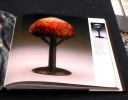 G. Argy-Rousseau Les Pâtes de Verre Catalogue Raisonné . Janine Bloch-Dermant