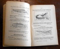 A Mar&eacute;e Basse… Animaux et Plantes du Littoral. P.-H. Fritel et R. Charpiat