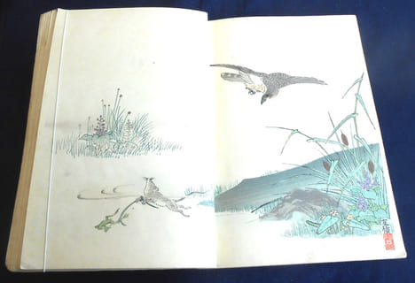 Choix de Fables de La Fontaine Illustrées par un Groupe des Meilleurs Artistes de Tokio . La Fontaine 