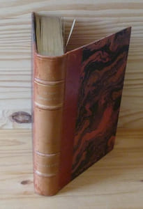 Voyage en Suisse, en Lombardie et en Piémont, illustré par Hadamard, Paris, Vermot éditeurs, 1862.