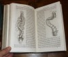 Traité de pathologie externe et de médecine opératoire avec des résumés d'anatomie des tissus et des régions. Troisième édition revue et augmentée ...