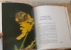 La fleur et l'abeille. Union Nationale de l'Apiculture Française. 1983.. UNION NATIONALE DE L'APICULTURE FRANÇAISE