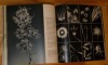 Vert Paradis. Faune et Flore en 300 images. Réalisation de F. A. Roedelberg avec le concours de 60 photographes animaliers. Hachette. Paris. 1960.. ...