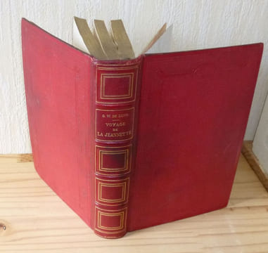 Voyage de la Jeannette. Journal de l'expédition édité par les soins de la veuve de l'auteur Mme Emma De Long et traduit de l'anglais avec son ...