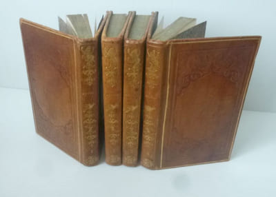 Le nouveau Buffon de la jeunesse. Histoire naturelle des animaux, des végétaux et des minéraux orné de figures. Paris. Renault. 1835.