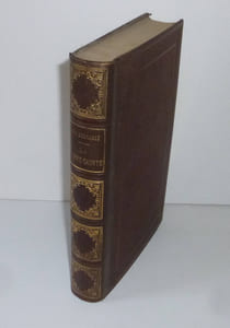 La terre sainte voyage dans l'arabie pétrée, la judée, la samarie, la galilée et la syrie. Illustrations de Karl Girardet. Deuxième édition. Tours. Mame. 1867.