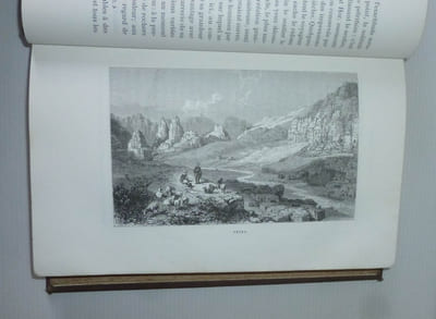 La terre sainte voyage dans l'arabie pétrée, la judée, la samarie, la galilée et la syrie. Illustrations de Karl Girardet. Deuxième édition. Tours. Mame. 1867.