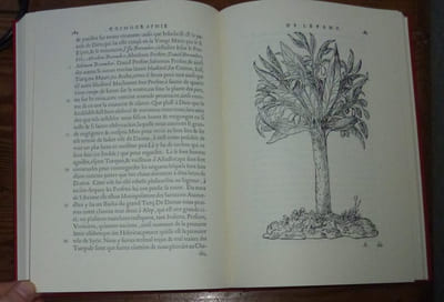 Cosmographie de Levant. Édition critique par Frank Lestrigant. Genève. Droz. 1985.