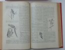 Dictionnaire illustré d'histoire naturelle comprenant la botanique, la zoologie, l'anthropologie, l'anatomie, la physiologie, l'embryologie, la ...