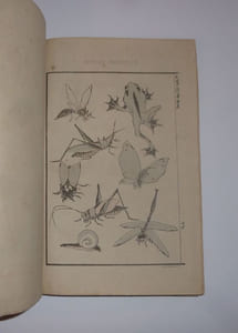 Notes sur le Japon, la Chine et l'Inde. 1858 - 1859 - 1860. Paris Dentu - Reinwald. 1861.