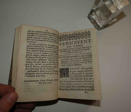 "Thresor des titres justificatifs des privileges & immunitez, droits et revenus de la ville de Nyort. Ensemble la liste de ceux qui ont esté Maires de ...