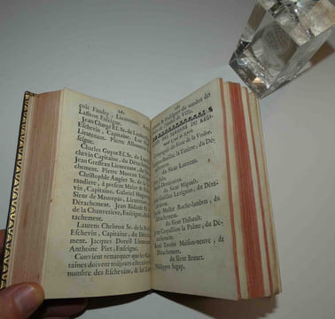 "Thresor des titres justificatifs des privileges & immunitez, droits et revenus de la ville de Nyort. Ensemble la liste de ceux qui ont esté Maires de ...