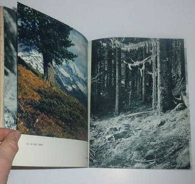 Cimes et merveilles. 66 photographies en noir et 23 en couleurs. Arthaud. 1952.. SAMIVEL