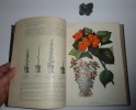 Revue Horticole. Journal d'horticulture pratique. 78e année - 1906. nouvelle série. Tome VI. Paris. Librairie agricole de la maison rustique. 1906.. ...
