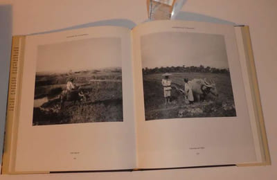 "L'Oeil du consul : Auguste François en Chine, 1896-1904. Textes et photographies d'Auguste François ; rassemblés par Pierre Seydoux ; présenté par Dominique Liabeuf et Jorge Svartzman"