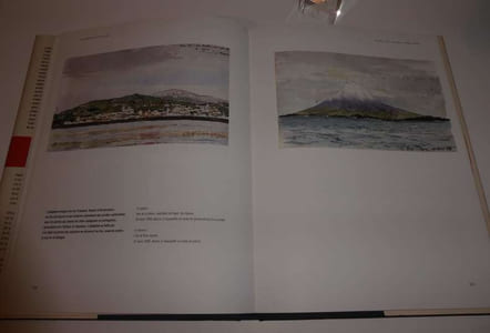 Carnets d'Escale. Viaux, artiste et officier de marine. Chasse Marée - Serive Historique de la Défense - Département marine. 2005.