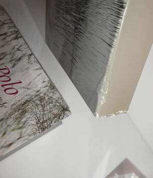 "Marco Polo. Le devisement du monde ; édité, présenté, annoté par René Kappler ; photographies de Roland et Sabrina Michaud. Collection : Voyages et ...