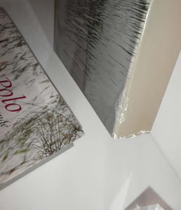 "Marco Polo. Le devisement du monde ; édité, présenté, annoté par René Kappler ; photographies de Roland et Sabrina Michaud. Collection : Voyages et découvertes. Paris : Imprimerie Nationale, 2004."