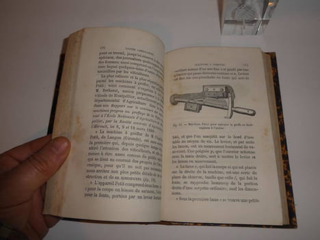 "Manuel pratique de viticulture pour la reconstitution des vignobles méridionaux ; vignes américaines, submersion, plantation dans les sables. ...