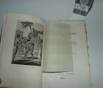 "Abrégé de l'histoire générale des voyages contenant ce qu'il y a de plus remarquable, de plus utile et de mieux avéré dans les pays où les voyageurs ont pénétré ; les moeurs des habitans, la religion, les usages, arts et sciences, commerce, manufactures. Nouvelle édition (---). TOME XIXe. Paris. Chez Ledentu. 1825."
