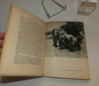 Mes éléphants du Tchad, traduit par Henri Daussy. Couverture et têtes de chapitres de René Garcia. Arthaud. Paris-Grenoble. 1952.