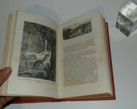Un petit fils de Robinson. Illustrations de G. Fath et Fellmann. Paris. Théodore Lefèvre. 1878.. AUDEBRAND, Philibert