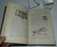 Le roi des montagnes. Nouvelle édition illustrée par Gustave Doré. Paris. Hachette. 1884.