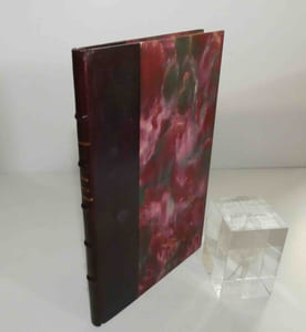 Siège de La Rochelle : journal contemporain (20 juillet 1627-4 juillet 1630) avec planche et fac-similé publié d'après le manuscrit appartenant à M. E. Racaud. La Rochelle. Thoreux. Paris. Dumoulin. 1872.