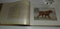 Les chiens de chasse, monographies de R. de Kermadec pour les chiens d'arrêt et les chiens courants, Dr Hérout pour les terriers, Henri Teissonnière ...