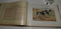 Les chiens de chasse, monographies de R. de Kermadec pour les chiens d'arrêt et les chiens courants, Dr Hérout pour les terriers, Henri Teissonnière ...