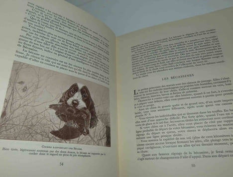 Queue, Tête Pan ! Tous les secrets de la chasse à tir. S.l. [Paris]. Éditions des Chasses de France, n.d. [1950].. BLANCHET, Eugène-Louis