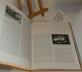 Degas. Vie et Oeuvre. Nathan. 1986.