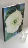 Fleurs publié par Nicholas Kallaway. Paris. Skira. 1988.. O'KEFFE Georgina