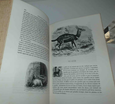 Le Buffon des familles : histoire et description des animaux, extraites des oeuvres de Buffon et de Lacépède par Auguste Dubois, sans date [1872].. ...