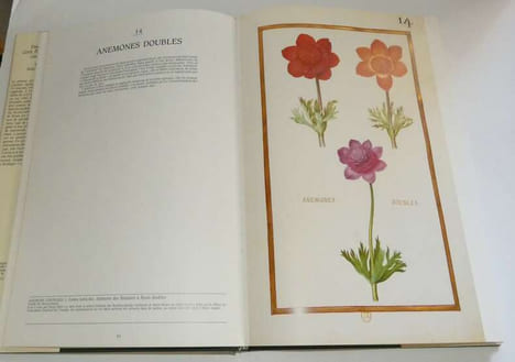 Daniel Rabel, cent fleurs et insectes Collection Bibliothèque nationale, Paris. Anthèse. 1991.. RABEL, Daniel - AYMONIN, Gérard