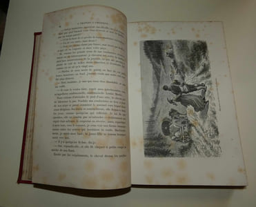 A travers l'Amérique, nouvelles et récits, par Lucien Biart. Vingt-Huit dessins hors-texte par F. Lix. Gravures de Gérard, Hotelin, Langeval, A. leray, F. Meaulle et Ravenel. Paris. Bibliothèque du Magasin des demoiselles. Sans date. [1876].