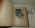 A la C&ocirc;te d'Ivoire, illustrations de Charles Fouqueray. Traduction de J. Fargeau. Paris. Charles Delagrave. 1903.. SALGARI, Emilio