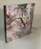 Chats. Races - Comportements - Éduction. P. L'imprévu. 2015.. COLLECTIF