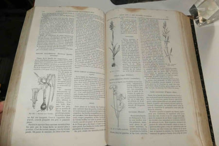 Le livre de la ferme et des maisons de campagne par une réunion d'agronomes, de savants et de praticiens, quatrième édition entièrement refondue. Paris. G. Masson - Ch. Delagrave. 1872.
