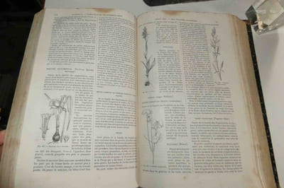Le livre de la ferme et des maisons de campagne par une réunion d'agronomes, de savants et de praticiens, quatrième édition entièrement refondue. Paris. G. Masson - Ch. Delagrave. 1872.