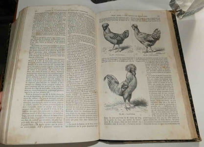 Le livre de la ferme et des maisons de campagne par une réunion d'agronomes, de savants et de praticiens, quatrième édition entièrement refondue. Paris. G. Masson - Ch. Delagrave. 1872.